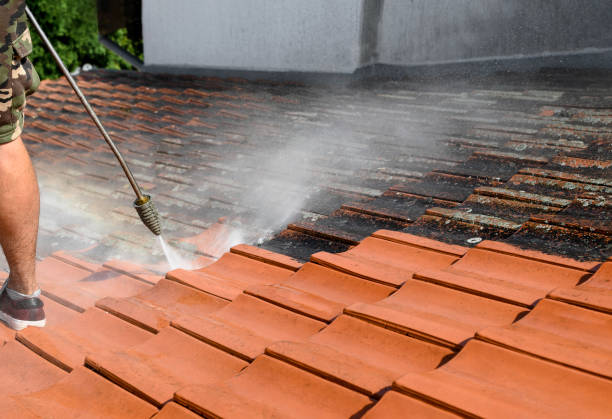 Best House Pressure Washing  in Greenbrier, TN
